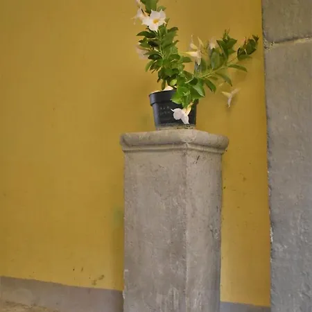 La Casa Dei Libri